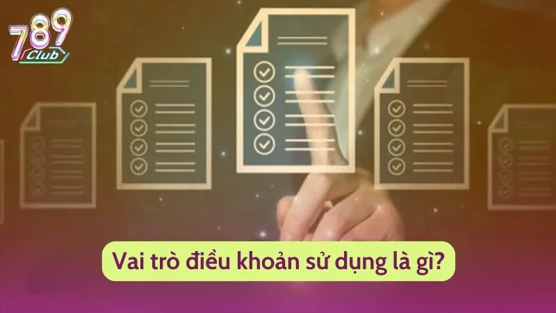 Vai trò điều khoản sử dụng là gì?